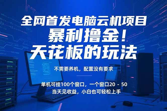 （15323期）电脑云机项目 暴力撸金玩法，不需要养机 配置没有要求 单机100个窗口一…-创富院