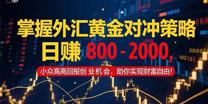 （15198期）掌握外汇黄金对冲策略，日赚 800 – 2000，小众高回报创业机会，助你实…-创富院