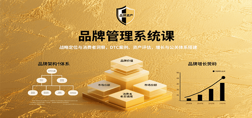 品牌管理系统课：战略定位与消费者洞察，DTC案例、资产评估，增长与公关体系搭建-创富院