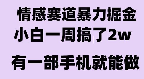 情感暴力掘金项目，新人操作一周挣了2W，长期稳定小白可做【揭秘】-创富院