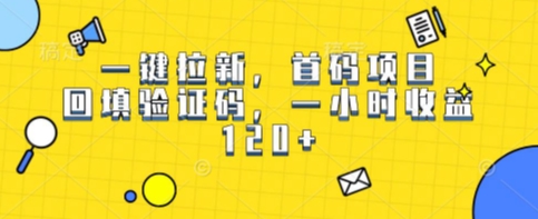 一键拉新，首码项目，回填验证码，一小时收益1张-创富院