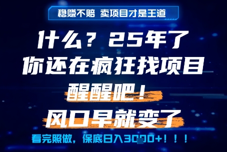 什么？25年你还在疯狂找项目做，醒醒吧，看完这些你全都懂了！【揭秘】-影创院