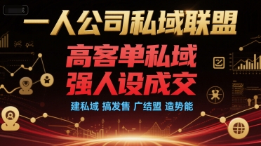 一人公司私域联盟，高客单私域，强人设成交，建私域 搞发售 广结盟 造势能-创富院