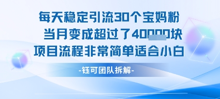 每天稳定引流30个人 当月变成超过了4个W项目流程非常简单适合小白-创富院