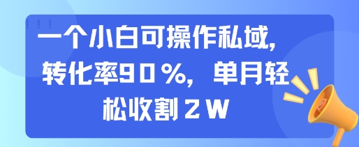 一个小白可操作私域，转化率90%，单月轻松收割2W-创富院