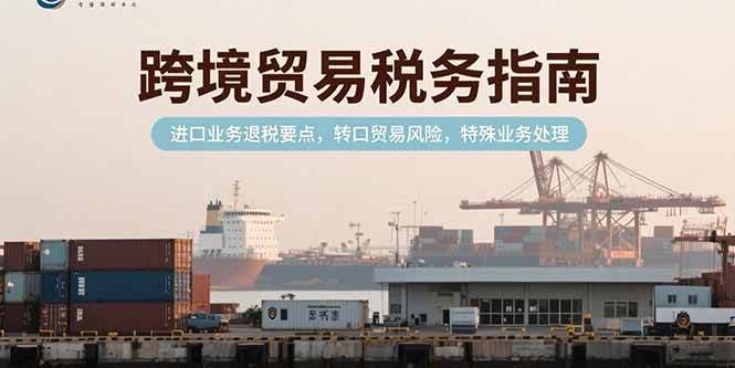 （15381期）跨境贸易税务指南，进口业务退税要点，转口贸易风险，特殊业务处理-创富院