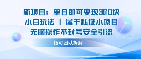 新项目单日即可变现3张的小白玩法无脑操作不封号安全引流-创富院