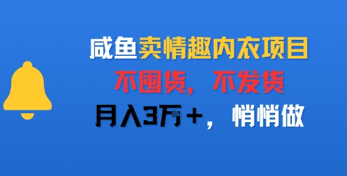 咸鱼卖情趣内衣项目，不囤货，不发货，月入3W+，悄悄做-创富院