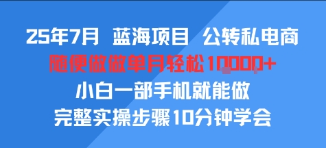 25年7月蓝海项目，公转私电商，随便做做单月轻松1w，小白一部手机就能做，完整实操步骤10分钟学会-创富院