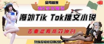 海外tiktok小说推文暴力项目，高停留率，高转化率，上手后一天搞顿饭钱不是问题-创富院