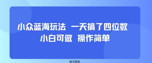小众蓝海玩法 一天搞了四位数 小白可做 操作简单-创富院