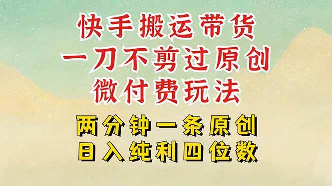 （15577期）快手黑科技搬运带货，一刀不剪过原创，微付费投流玩法，轻松日入四位数…-创富院