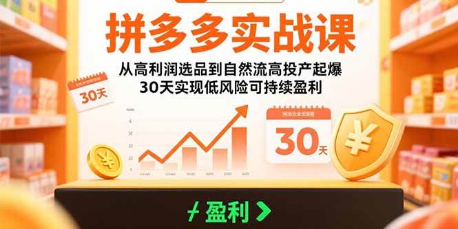 （15586期）拼多多实战课：从高利润选品到自然流高投产起爆 30天实现低风险可持续盈利-创富院