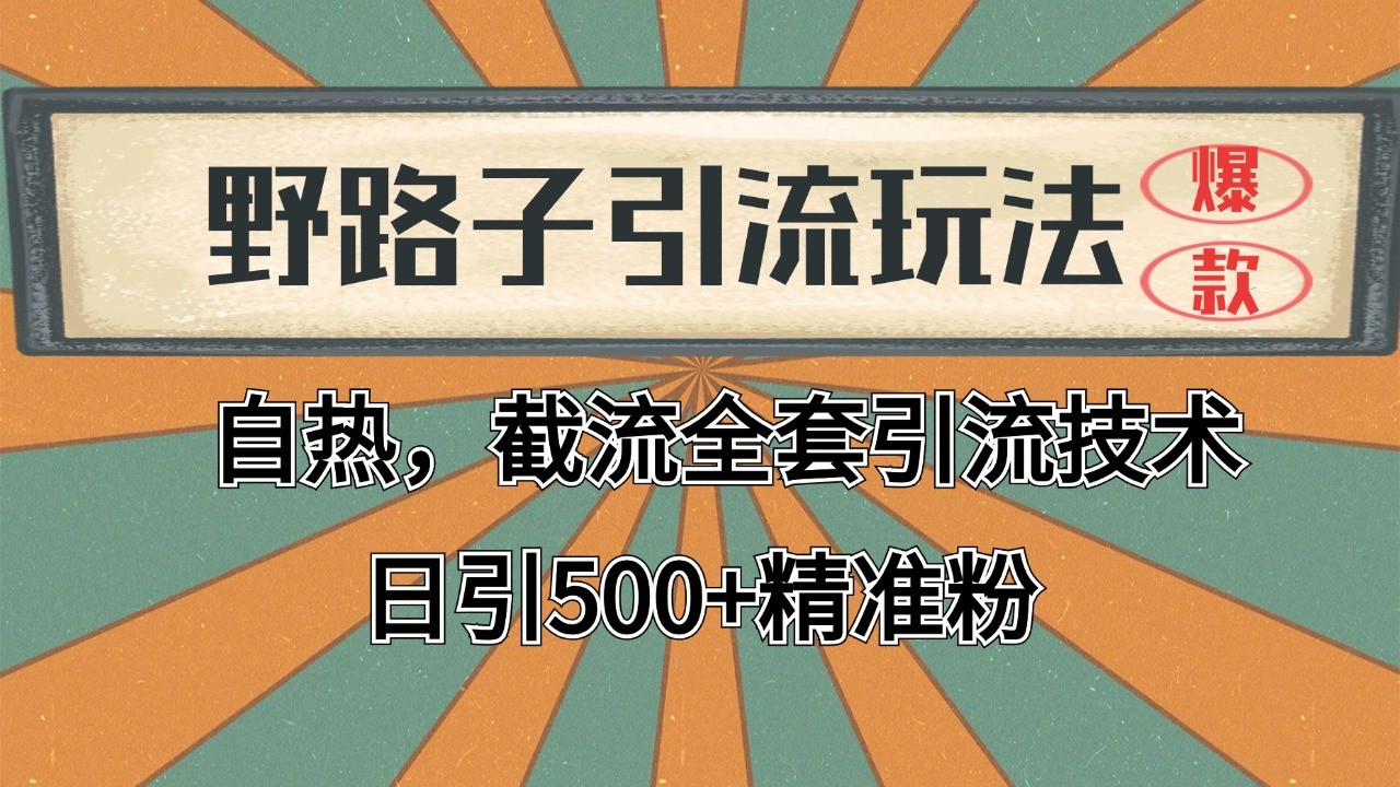 2024首发野路子引流玩法截流自热全平台打法，全自动引流【日引2000+精准客户】-创富院