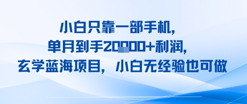 小白只靠一部手机，单月到手2W+利润，玄学蓝海项目，小白无经验也可做-创富院