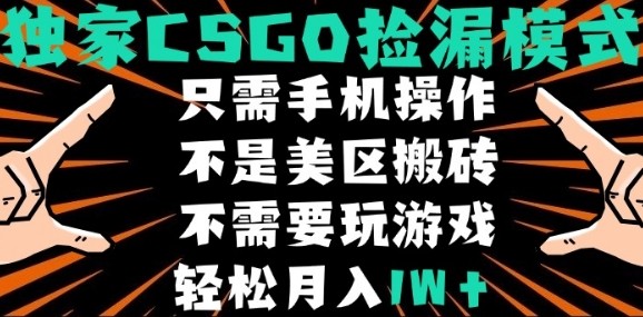CSGO自动捡漏项目，最新独家玩法，不是美区搬砖，不需要了解和玩游戏，新手小白轻松月入1W+【揭秘】-创富院