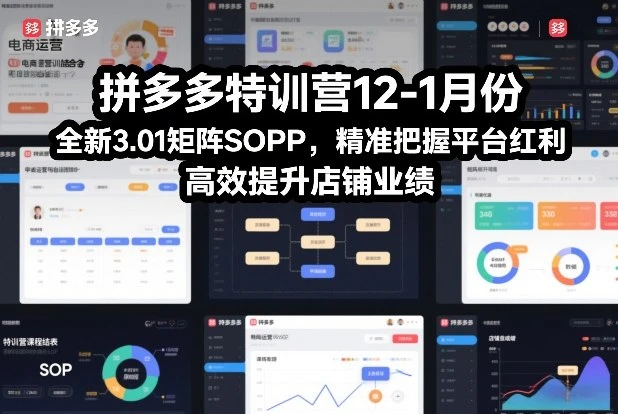 【精】拼多多特训营12-1月份，全新3.01矩阵Sop，精准把握平台红利，高效提升店铺业绩-学必富副业创客网
