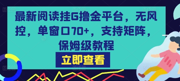 最新阅读挂G撸金平台，无风控，单窗口70+，支持矩阵，保姆级教程【揭秘】-创富院