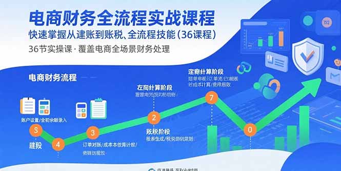 电商财务全流程实战课程：快速掌握从建账到报税的全流程技能(36节课-创富院