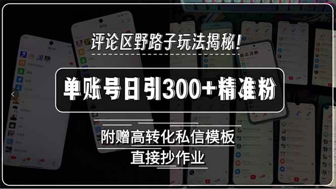 （15466期）评论区野路子玩法揭秘！单账号日引300+精准粉，附赠高转化私信模板，直…-创富院