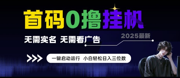 首码0撸挂G项目，无需实名无需看广告 一键启动运行，小白轻松日入三位数【揭秘】-创富院