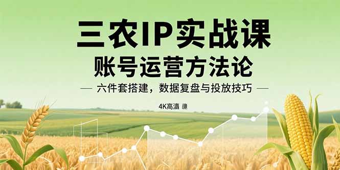 三农IP实战课：账号运营方法论，六件套搭建，数据复盘与投放技巧-创富院