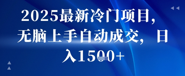 2025最新冷门项目，无脑上手自动成交，日入多张-创富院