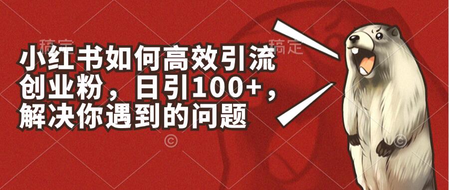 小红书如何高效引流创业粉，日引100+，解决你遇到的问题-创富院