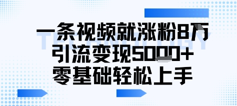 一条视频就涨粉8W引流变现5k+，0基础项目轻松上手-创富院