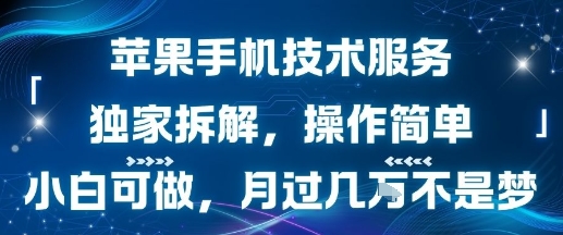 苹果手机技术服务，独家拆解，操作简单，小白可做，月过1W不是梦-创富院