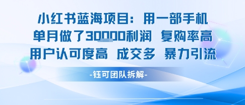 小红书蓝海项目，一部手机单月做了3W利润，小白也能月入过1W用户认可度高成交多-创富院