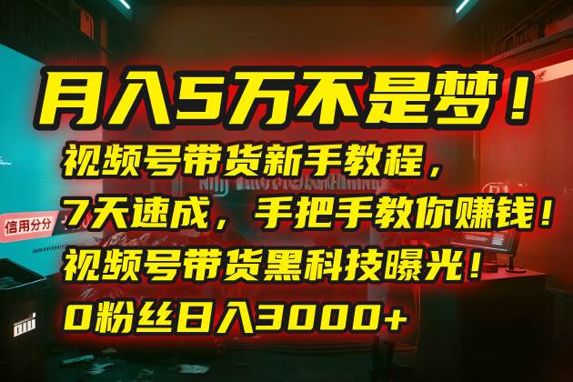 （15595期）月入5万不是梦！视频号带货新手教程，7天速成，手把手教你赚钱！视频号…-创富院