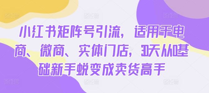 小红书矩阵号引流，适用于电商、微商、实体门店，30天从0基础新手蜕变成卖货高手-创富院