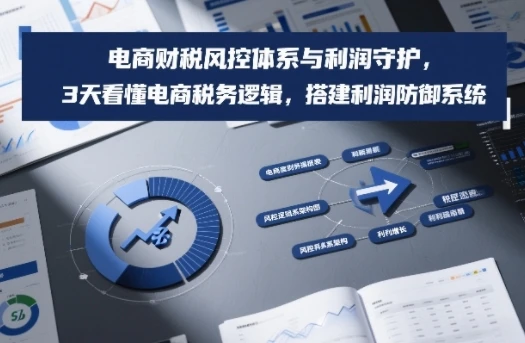 【精】电商财税风控体系与利润守护,3天看懂电商税务逻辑,搭建利润防御系统-学必富副业创客网