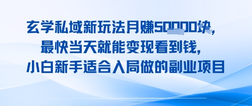 玄学私域新玩法月入1W+，最快当天就能变现看到米，小白新手适合入局做的副业项目-创富院