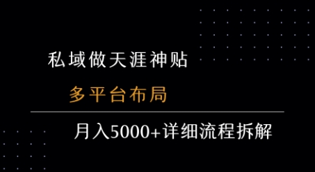 私域做天涯神贴 多平台布局 月入5k+详细流程拆解-创富院