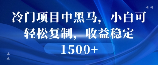 冷门项目中黑马，小白可轻松复制，收益稳定1.5k-创富院