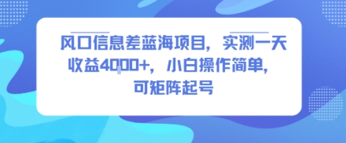 风口信息差蓝海项目，实测一天收益4k+，小白操作简单，可矩阵起号-创富院