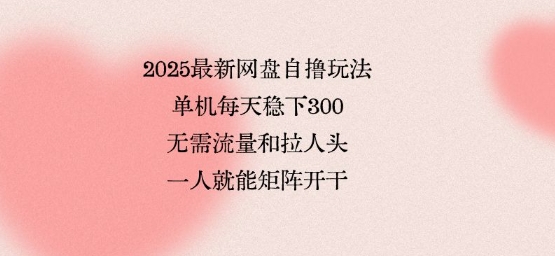 2025最新网盘自撸玩法，单机每天稳下3张，无需流量和拉人头，一个人就可轻松矩阵，全网独一份【揭秘】-创富院