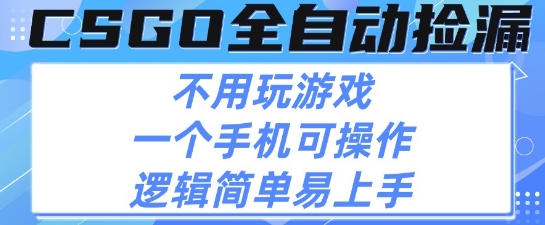 CSGO自动捡漏项目，最新独家玩法，不用挂G不用玩游戏，一个手机即可操作，新手小白轻松月入1W+【揭秘】-创富院