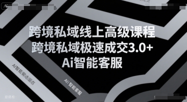 跨境私域线上高级课程，跨境私域极速成交3.0+Ai智能客服-创富院