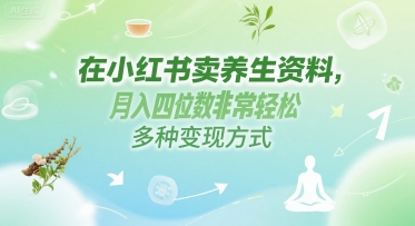 在小红书卖养生资料，月入四位数非常轻松，多种变现方式-创富院