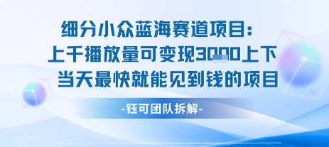 小众蓝海赛道项目：当天变现1k+适合新手操作 +适合长期玩-创富院